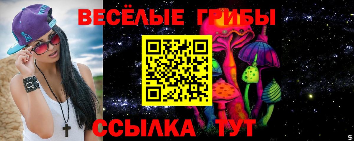 Псилоцибиновые грибы мухоморы  дарнет шоп  Галлюциногенные грибы GOLDEN TEACHER  Кемерово  Вход с VPN 